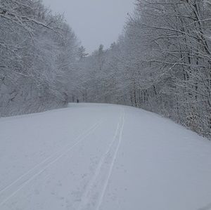 Meet your Posher, Isabelle